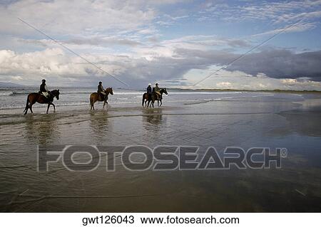 Four people horseback riding on the beach, Sligo, Republic of Ireland View Large Photo Image Stock Image - Four people horseback riding on the beach, Sligo, Republic of Ireland. Fotosearch