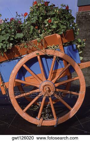 Plants in a flower wagon, Clones County Monaghan, Republic of Ireland View Large Photo Image Stock Image - Plants in a flower wagon, Clones County Monaghan, Republic of Ireland. Fotosearch