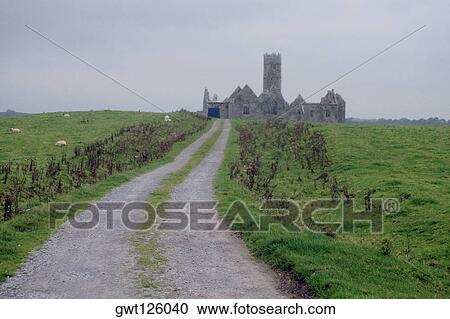 Road leading to a castle, Ross Abbey, County Galway, Republic of Ireland View Large Photo Image Stock Image - Road leading to a castle, Ross Abbey, County Galway, Republic of Ireland. Fotosearch