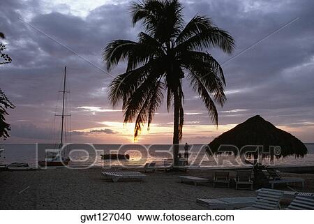 A beautiful sunset at Half Moon Bay, Jamaica, Caribbean View Large Photo Image Stock Image - A beautiful sunset at Half Moon Bay, Jamaica, Caribbean. Fotosearch