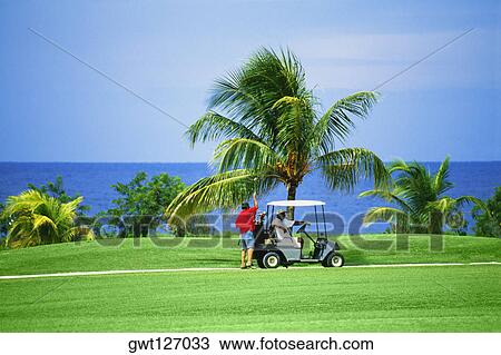 A golf cart is seen on a golfcourse at Wyndham Resort, Jamaica View Large Photo Image Stock Image - A golf cart is seen on a golfcourse at Wyndham Resort, Jamaica. Fotosearch