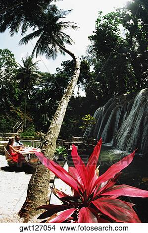 A woman relaxes under a palm tree near a waterfall, Jamaica View Large Photo Image Picture - A woman relaxes under a palm tree near a waterfall, Jamaica. Fotosearch