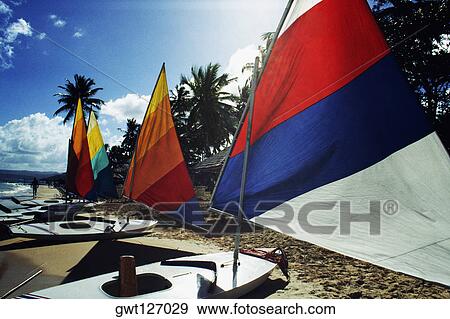 Bright colored sails on windsurf boards in Jamaica View Large Photo Image Stock Photo - Bright colored sails on windsurf boards in Jamaica. Fotosearch
