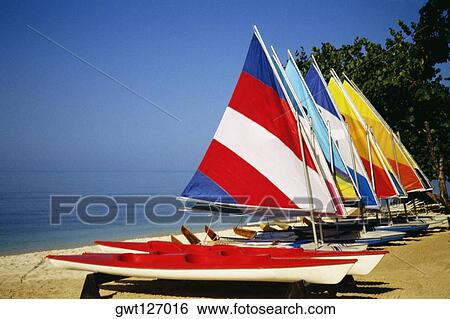 Stock Photograph - Brightly colored sails on windsurf boards at Hedonism Resort, Jamaica. Fotosearch
