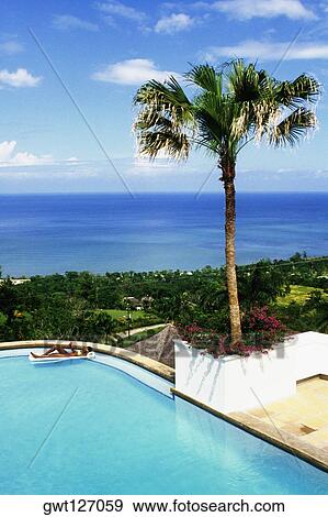 High angle view of a woman relaxing in a swimming pool, Endless Summer Villa, Montego Bay, Jamaica. View Large Photo Image Stock Photo - High angle view of a woman relaxing in a swimming pool, Endless Summer Villa, Montego Bay, Jamaica.. Fotosearch