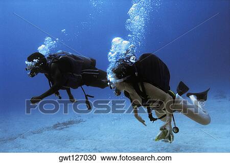 Scuba Divers are seen underwater in Jamaica View Large Photo Image Stock Image - Scuba Divers are seen underwater in Jamaica. Fotosearch