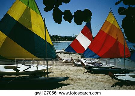 Side view of brightly colored sails on windsurf boards, Jamaica View Large Photo Image Stock Photograph - Side view of brightly colored sails on windsurf boards, Jamaica. Fotosearch