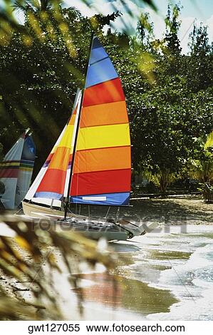Side view of brightly colored sails on windsurf boards, Jamaica View Large Photo Image Stock Photography - Side view of brightly colored sails on windsurf boards, Jamaica. Fotosearch