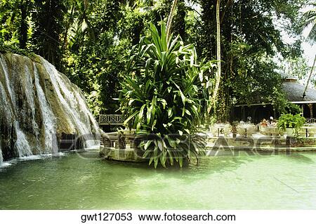Side view of Dunn's River Falls, Jamaica View Large Photo Image Stock Image - Side view of Dunn's River Falls, Jamaica. Fotosearch