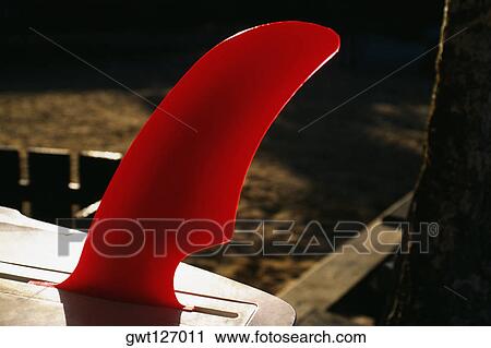 View of a bright orange fin on a surfboard, Jamaica View Large Photo Image Stock Image - View of a bright orange fin on a surfboard, Jamaica. Fotosearch