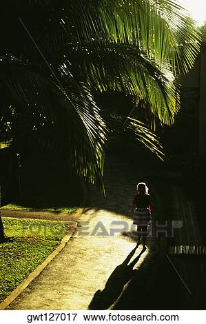 Stock Photo - View of a lush green walkway at Hedonism Resort, Jamaica. Fotosearch