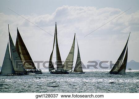 Sailboats participate in the Heiniken Regatta on the Dutch side of the island of St. Maarten in the Caribbean View Large Photo Image Stock Photo - Sailboats participate in the Heiniken Regatta on the Dutch side of the island of St. Maarten in the Caribbean. Fotosearch