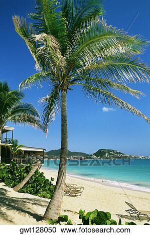 Stock Image - Side view of a calm beach, St. Martin, Caribbean. Fotosearch