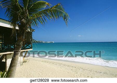 Side view of a vast and calm beach, St. Maarten, Caribbean View Large Photo Image Stock Photo - Side view of a vast and calm beach, St. Maarten, Caribbean. Fotosearch