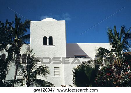 View of a white building amidst a foliage of palm trees, St. Maarten, Caribbean View Large Photo Image Stock Photo - View of a white building amidst a foliage of palm trees, St. Maarten, Caribbean. Fotosearch