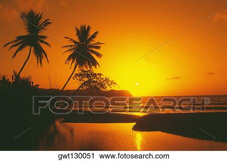 A spectacular sunset, Tobago, Caribbean View Large Photo Image Stock Image - A spectacular sunset, Tobago, Caribbean. Fotosearch