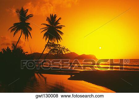 Stock Photo - A spectacular sunset, Tobago, Caribbean. Fotosearch