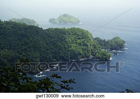 Aerial view of a lush coastland, Trinidad, Caribbean View Large Photo Image Stock Photo - Aerial view of a lush coastland, Trinidad, Caribbean. Fotosearch