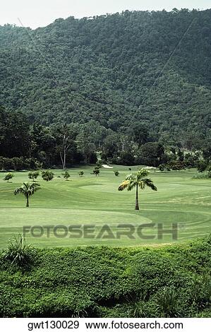 Stock Photo - Aerial view of green fields with lush hills in the background. Fotosearch