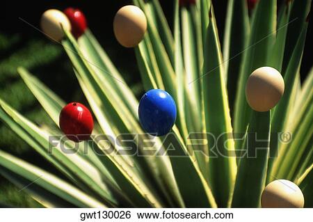 Stock Photograph - Close up of an aloe plant with colorful eggshells placed on it. Fotosearch