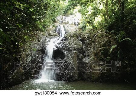 Scenic view of a cascade amidst greenery, Tobago, Caribbean View Large Photo Image Picture - Scenic view of a cascade amidst greenery, Tobago, Caribbean. Fotosearch