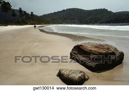 Picture - Scenic view of a deserted beach, Trinidad, Caribbean. Fotosearch