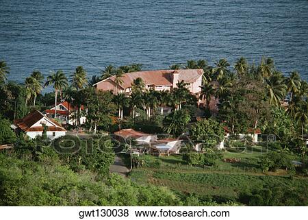 Scenic view of a resort amidst palm trees, Tobago, Caribbean View Large Photo Image Stock Photo - Scenic view of a resort amidst palm trees, Tobago, Caribbean. Fotosearch