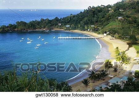 Stock Photo - Scenic view of Man O' War Bay, Tobago, Caribbean. Fotosearch