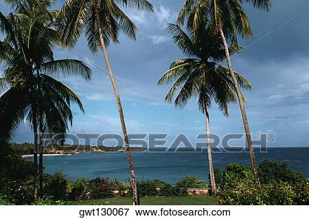Spectacular seascape from Pigeon Point, Tobago View Large Photo Image Stock Photo - Spectacular seascape from Pigeon Point, Tobago. Fotosearch