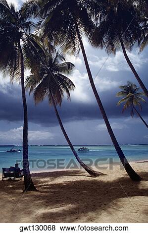 Spectacular seascape from Pigeon Point, Tobago View Large Photo Image Stock Photo - Spectacular seascape from Pigeon Point, Tobago. Fotosearch