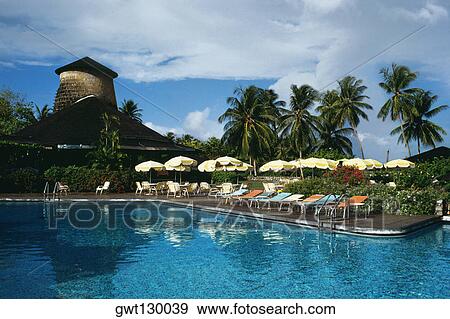 View of a clear swimming pool at a resort, Tobago, Caribbean View Large Photo Image Stock Photo - View of a clear swimming pool at a resort, Tobago, Caribbean. Fotosearch