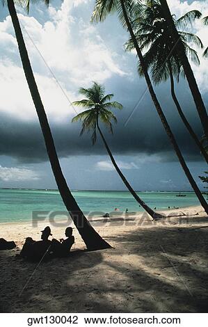 View of a scenic beach on a cloudy day, Pigeon Point, Tobago, Caribbean View Large Photo Image Stock Image - View of a scenic beach on a cloudy day, Pigeon Point, Tobago, Caribbean. Fotosearch