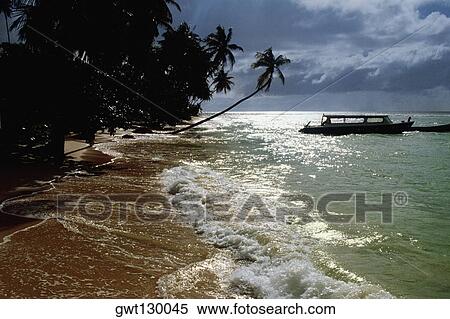View of a scenic beach on a cloudy day, Pigeon Point, Tobago, Caribbean View Large Photo Image Stock Photography - View of a scenic beach on a cloudy day, Pigeon Point, Tobago, Caribbean. Fotosearch