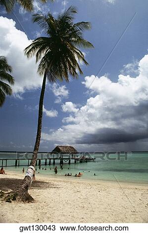 Stock Image - View of a scenic beach on a sunny day, Pigeon Point, Tobago, Caribbean. Fotosearch