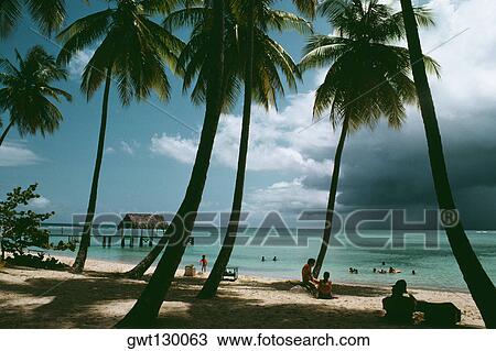 Stock Image - View of a scenic beach on a sunny day, Pigeon Point, Tobago, Caribbean. Fotosearch