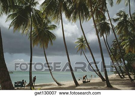 View of a scenic beach on a sunny day, Pigeon Point, Tobago View Large Photo Image Stock Photo - View of a scenic beach on a sunny day, Pigeon Point, Tobago. Fotosearch