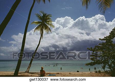 Stock Photo - View of a scenic beach on a sunny day, Pigeon Point, Tobago, Caribbean. Fotosearch