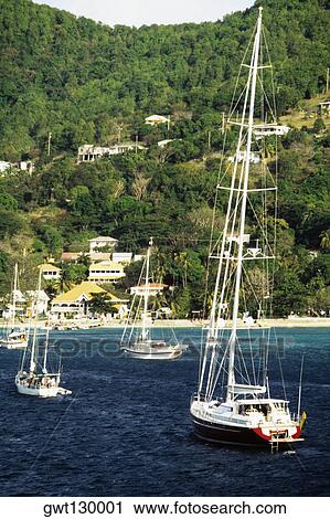 View of boats sailing towards a shore, Tobago View Large Photo Image Stock Image - View of boats sailing towards a shore, Tobago. Fotosearch