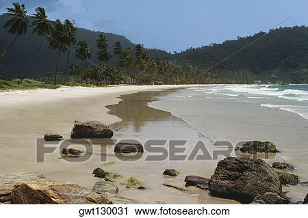 View of the scenic Maracas Beach, Trinidad, Caribbean View Large Photo Image Stock Image - View of the scenic Maracas Beach, Trinidad, Caribbean. Fotosearch
