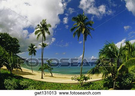 Stock Image - Distorted view of a beach, Westin Carambola, St. Croix, U. S. Virgin Islands. Fotosearch