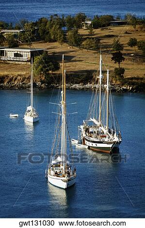 Sailboats at a harbor, Caneel Bay, St. John, U. S. Virgin Islands View Large Photo Image Stock Image - Sailboats at a harbor, Caneel Bay, St. John, U. S. Virgin Islands. Fotosearch