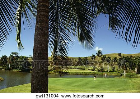 Picture - Two golfers playing golf at Fountain Valley Golf Course, St. Croix, U. S. Virgin Islands. Fotosearch