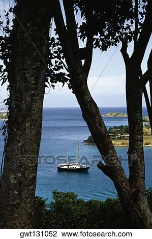 View of the bay through trees, St. John, U. S. Virgin Islands View Large Photo Image Stock Image - View of the bay through trees, St. John, U. S. Virgin Islands. Fotosearch