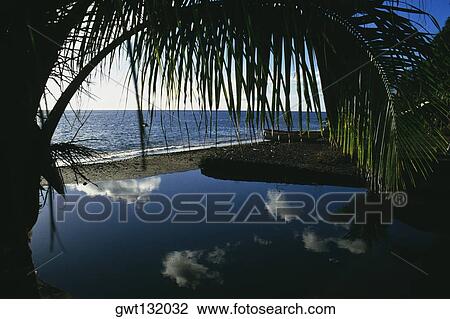 A lagoon is seen near the harbor of Port de France in Martinique View Large Photo Image Stock Image - A lagoon is seen near the harbor of Port de France in Martinique. Fotosearch
