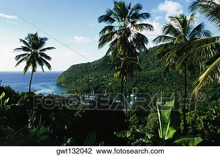 Stock Image - A secluded cove encircled by dense vegetation, St. Lucia, Caribbean. Fotosearch