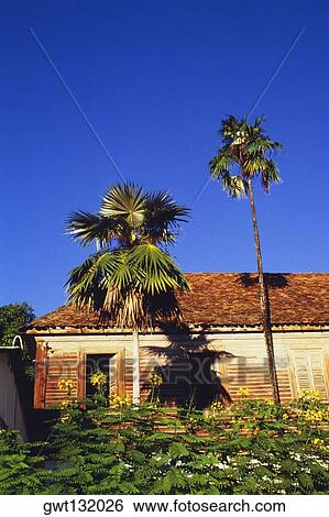 A weathered house in the town of Castries, St. Lucia View Large Photo Image Stock Photograph - A weathered house in the town of Castries, St. Lucia. Fotosearch