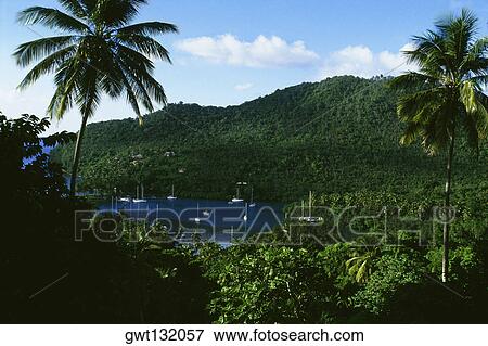 High angle view of a secluded cove encircled by dense vegetation, St. Lucia, Caribbean View Large Photo Image Stock Photo - High angle view of a secluded cove encircled by dense vegetation, St. Lucia, Caribbean. Fotosearch