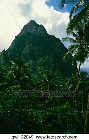 Stock Photo - Low angle view of an ancient dormant volcano, Grand Piton, St. Lucia. Fotosearch
