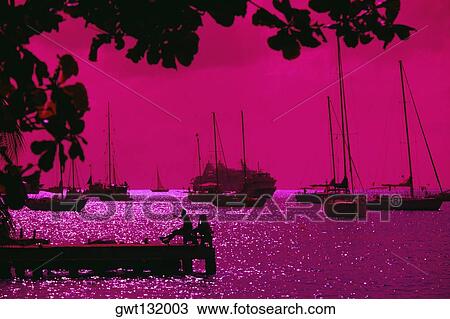 Scenic view of a large group of sailboats in the sea, Port Elizabeth View Large Photo Image Stock Image - Scenic view of a large group of sailboats in the sea, Port Elizabeth. Fotosearch