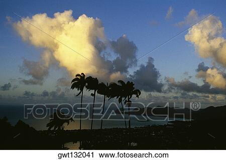Stock Image - Silhouette of palm trees against a calm sea at dusk, St. Lucia. Fotosearch
